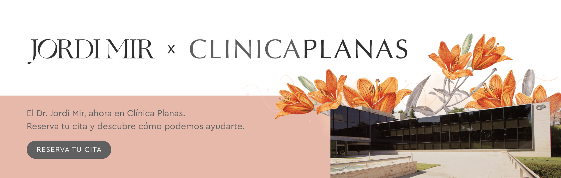 Banner Footer
